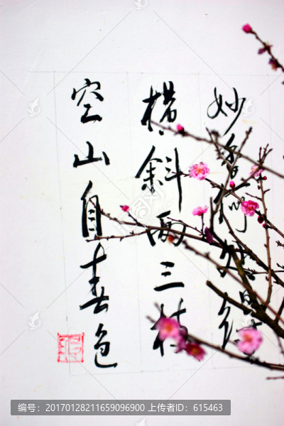 書法與梅花