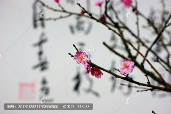 書法與梅花