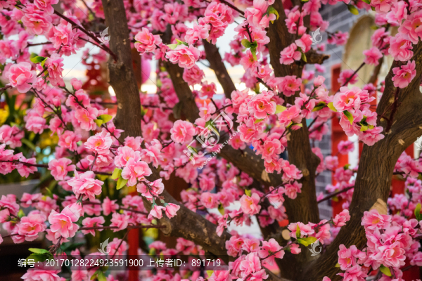 梅花