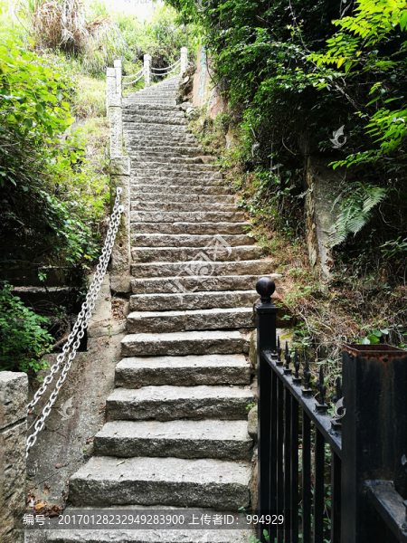 深圳塘朗山郊野公園風景