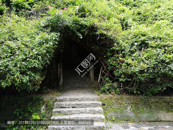 深圳塘朗山郊野公園風(fēng)景