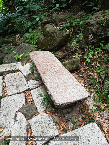 深圳塘朗山公園,休息石板凳