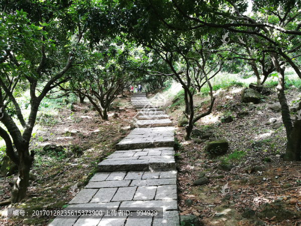 深圳塘朗山郊野公園風(fēng)景