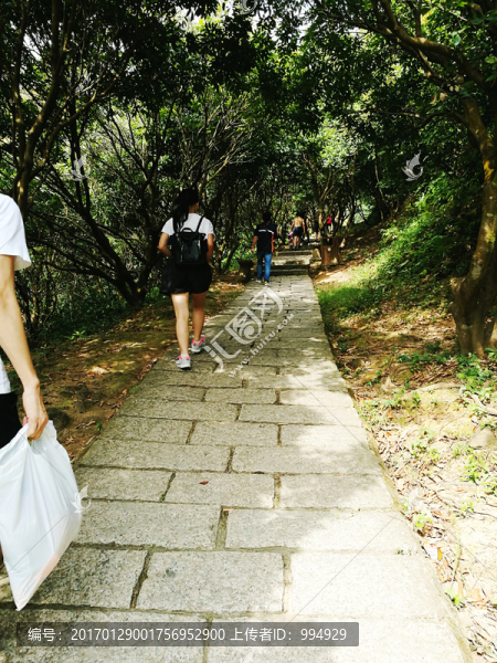 深圳塘朗山郊野公園風(fēng)景