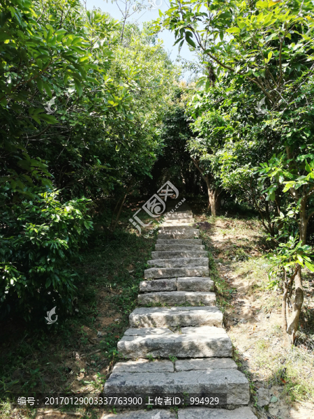 塘朗山郊野公園風(fēng)景-匯圖網(wǎng) www.fosd68.com 塘朗山郊野公園風(fēng)景