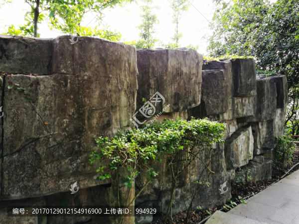 深圳塘朗山公園風(fēng)景