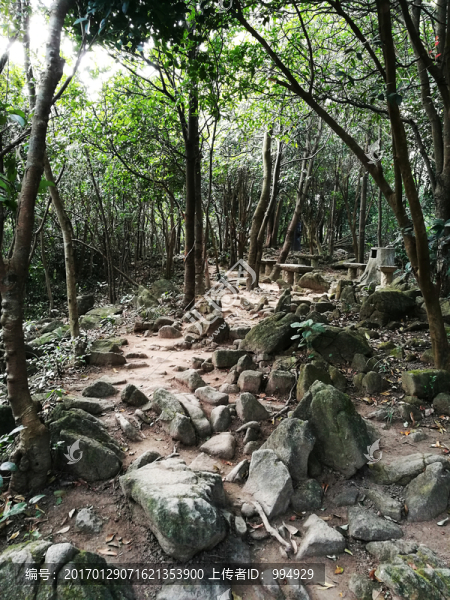 深圳塘朗山郊野公園風(fēng)景