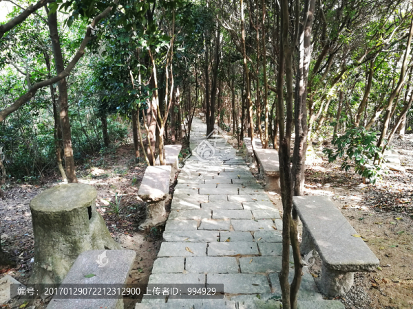 深圳塘朗山郊野公園風(fēng)景