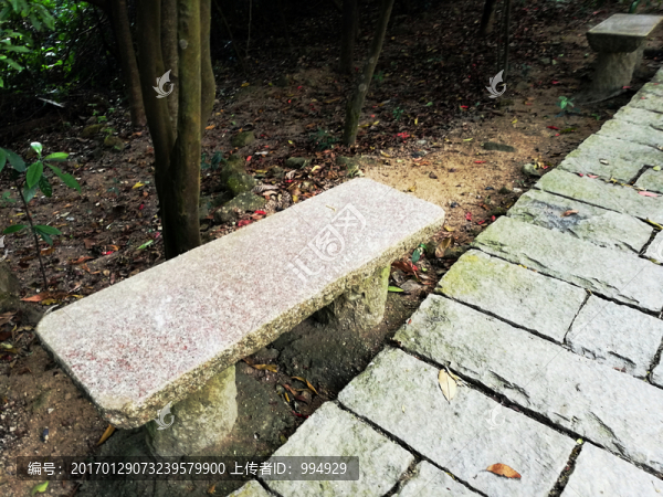 塘朗山郊野公園風(fēng)景