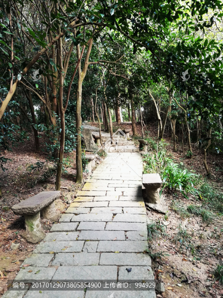 深圳塘朗山郊野公園