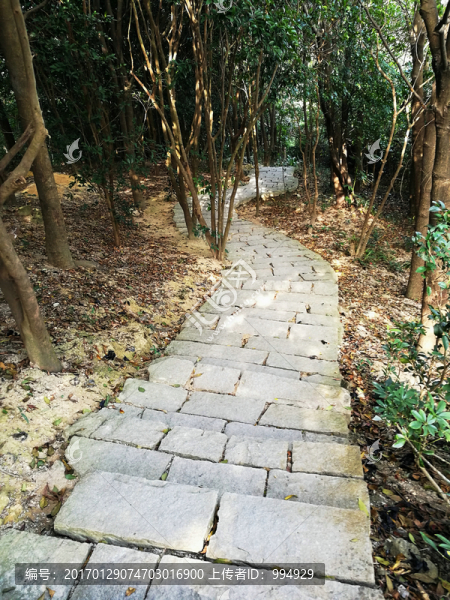 深圳塘朗山郊野公園
