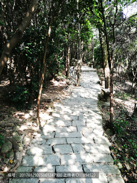深圳塘朗山郊野公園