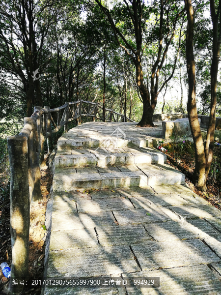 深圳塘朗山郊野公園