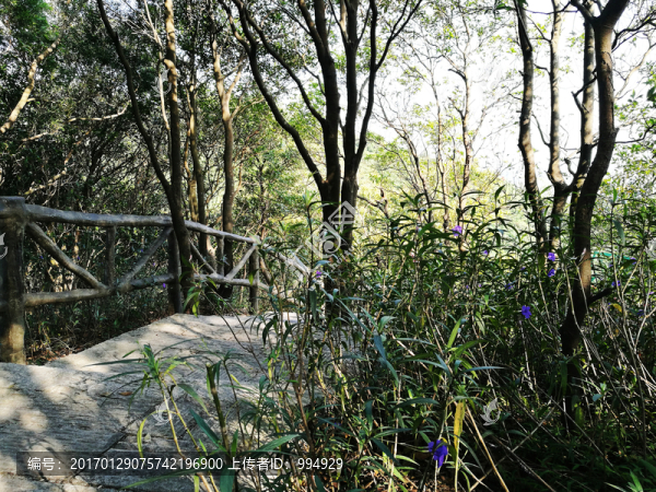 深圳塘朗山郊野公園