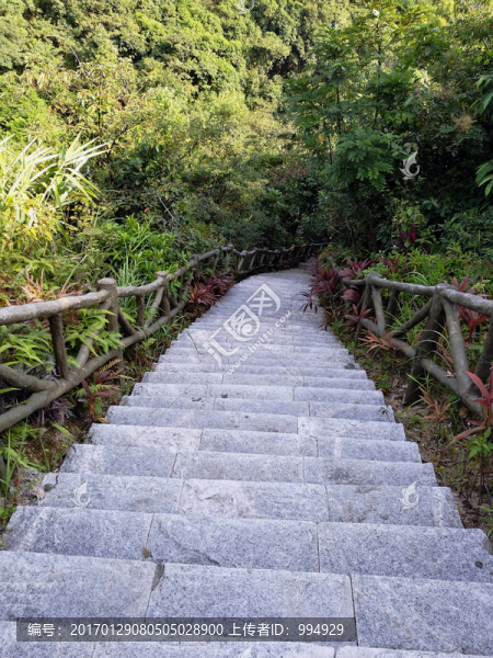 塘朗山郊野公園風(fēng)景