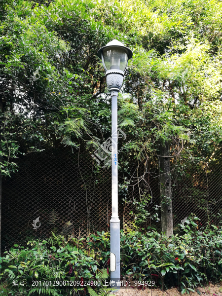 深圳塘朗山公園,路燈