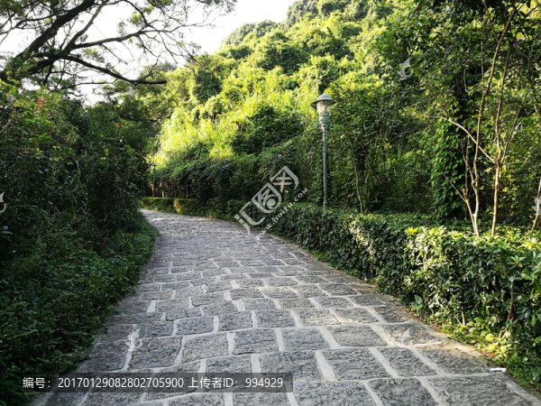 塘朗山郊野公園風(fēng)景