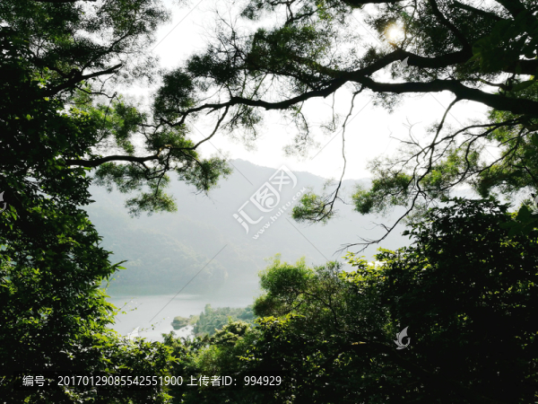 深圳梅林公園
