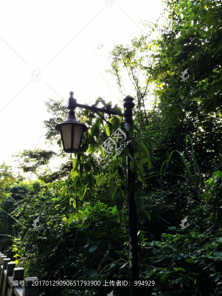深圳塘朗山公園景區(qū)