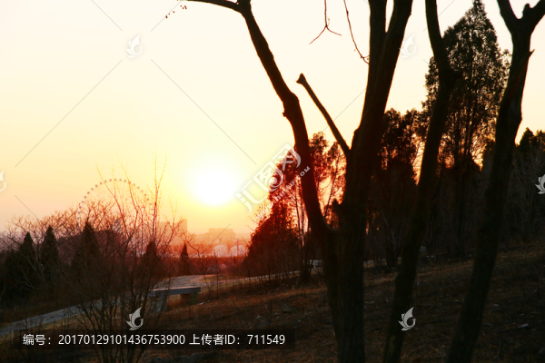 山崗看落日