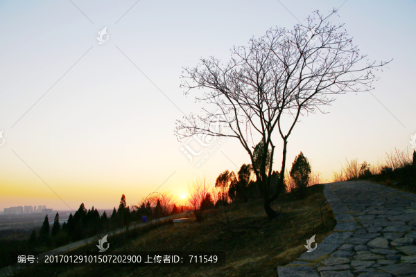 黃昏,小樹,山路