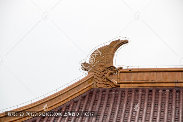 南京博物院,屋頂
