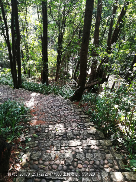 筆架山公園登山道