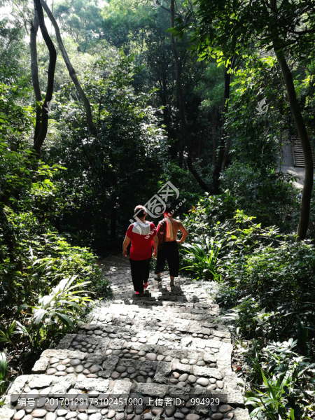 筆架山公園登山道