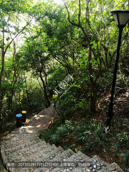 筆架山公園登山道