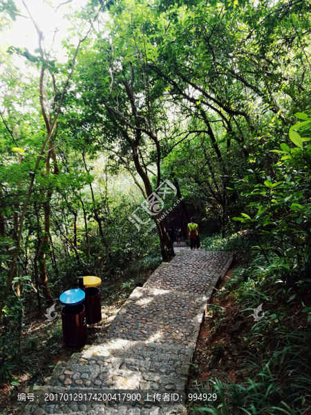 筆架山公園登山道