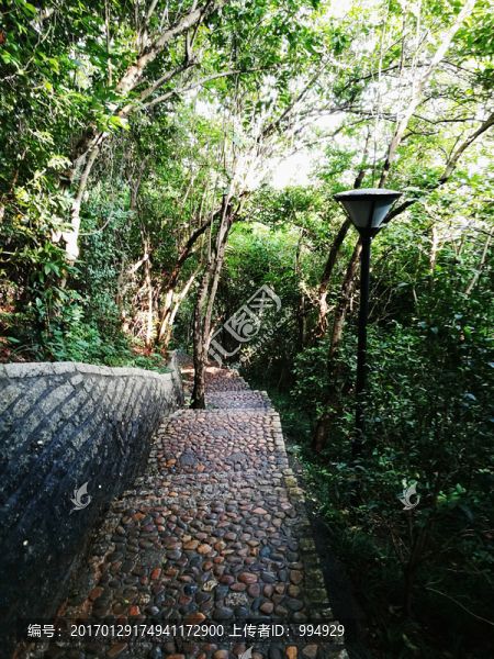 筆架山公園登山道