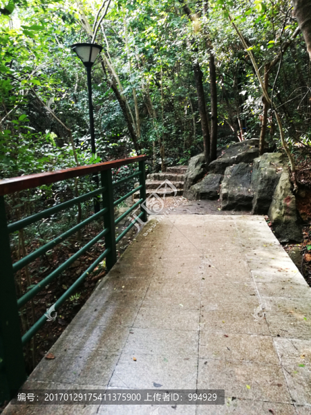 深圳筆架山公園風(fēng)光