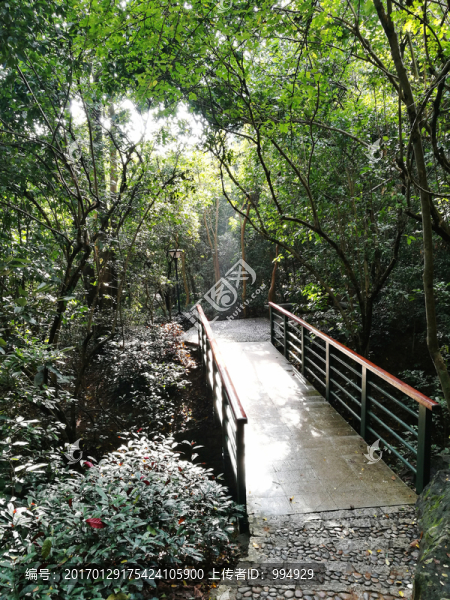 筆架山公園登山道