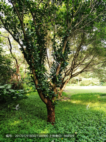 深圳筆架山公園風(fēng)光