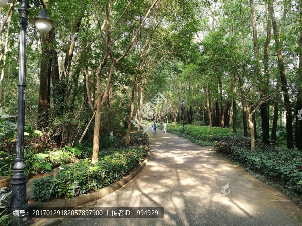 深圳筆架山公園風(fēng)光
