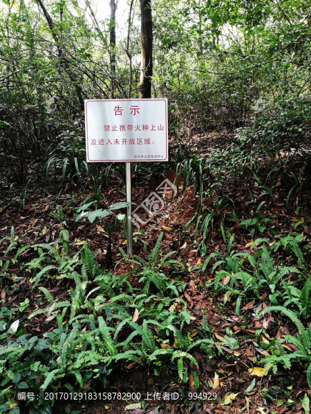 深圳筆架山公園風(fēng)光