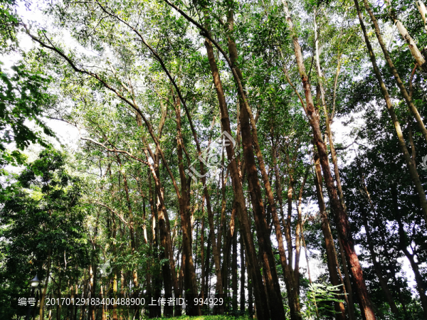 深圳筆架山風(fēng)光