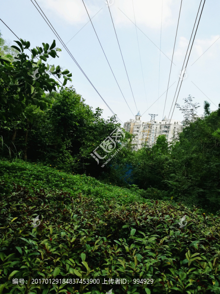 深圳筆架山公園風(fēng)景