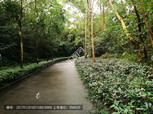 深圳筆架山公園風(fēng)光