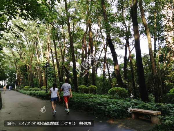 深圳筆架山公園風(fēng)光