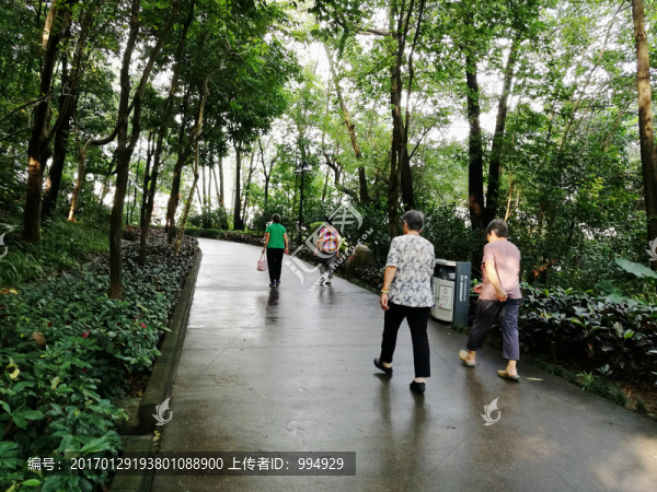 深圳筆架山公園風(fēng)光