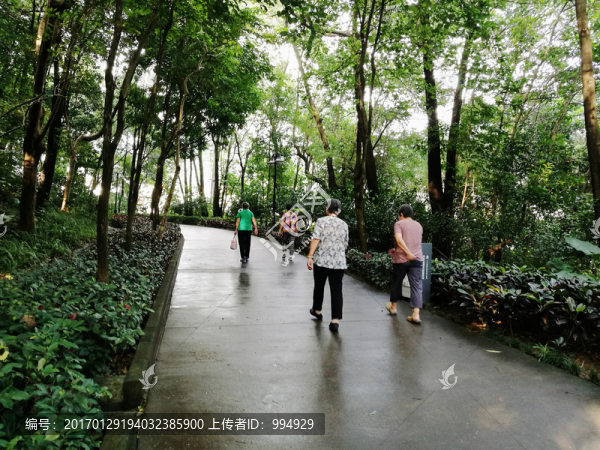 深圳筆架山公園道路