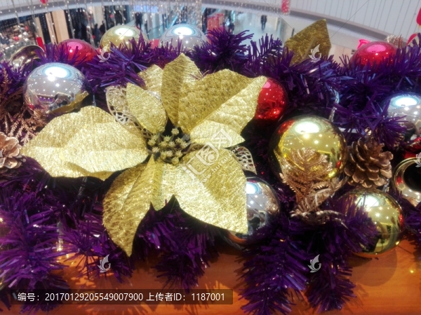 圣誕花節(jié)日布景-匯圖網(wǎng) www.fosd68.com 圣誕花節(jié)日布景