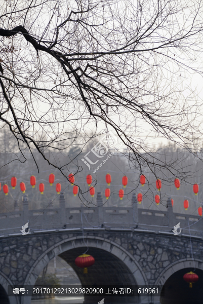 樹(shù)枝