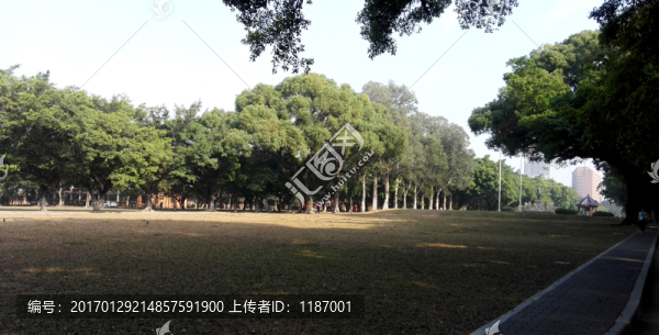 廣州中山大學校園