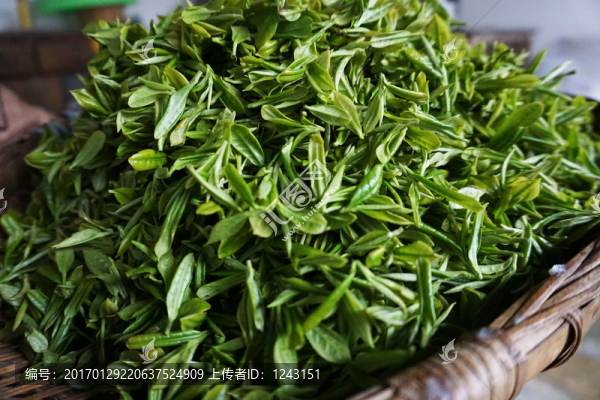 茶葉