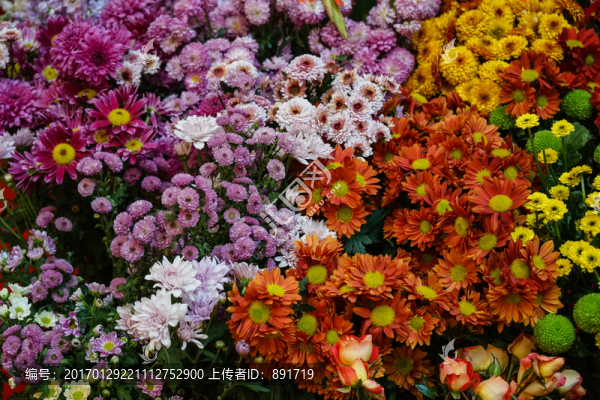 鮮花墻,花店