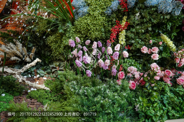 植物墻