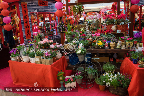 花店,玫瑰,蝴蝶蘭,蘭花