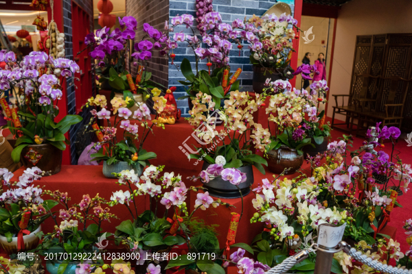 花店,（17）